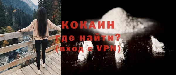 спайс Гусев