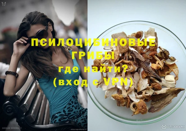 дживик Горнозаводск