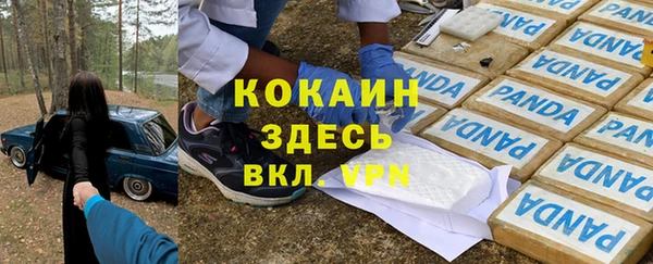 ГАЛЛЮЦИНОГЕННЫЕ ГРИБЫ Горняк