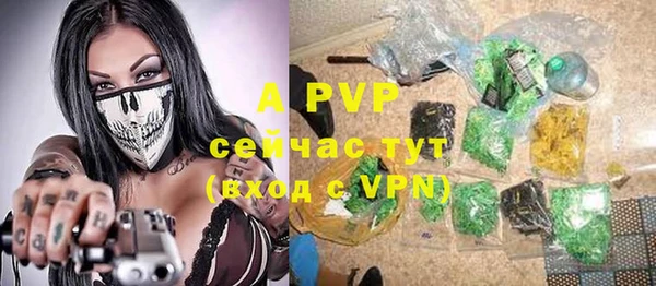ГАЛЛЮЦИНОГЕННЫЕ ГРИБЫ Горняк