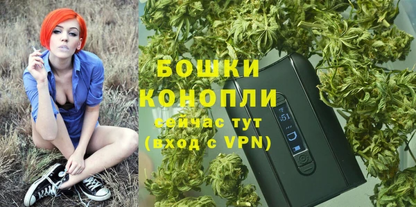 ГАЛЛЮЦИНОГЕННЫЕ ГРИБЫ Горняк
