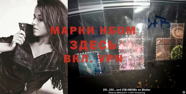 ГАЛЛЮЦИНОГЕННЫЕ ГРИБЫ Горняк