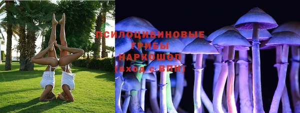 дживик Горнозаводск