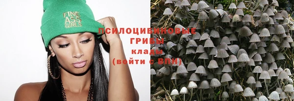 ГАЛЛЮЦИНОГЕННЫЕ ГРИБЫ Горняк