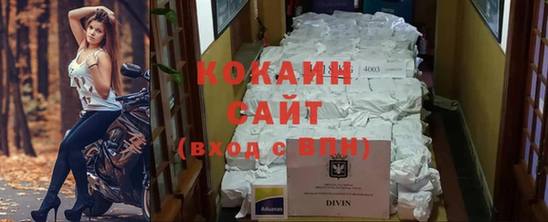 спайс Гусев