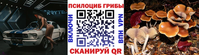 Псилоцибиновые грибы мухоморы  Купить где  Полевской 